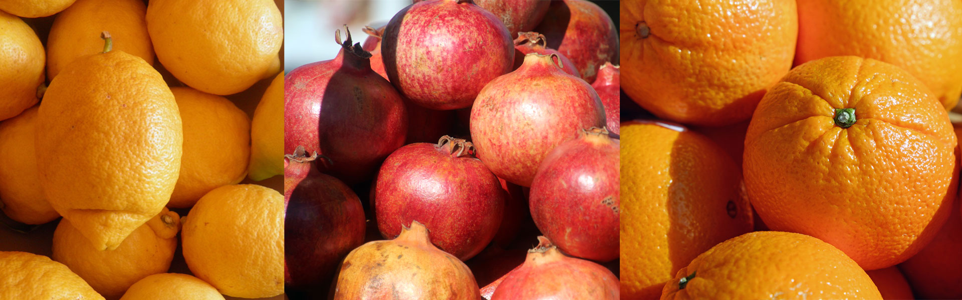 Zitrusfrüchte und Granatäpfel im Laden